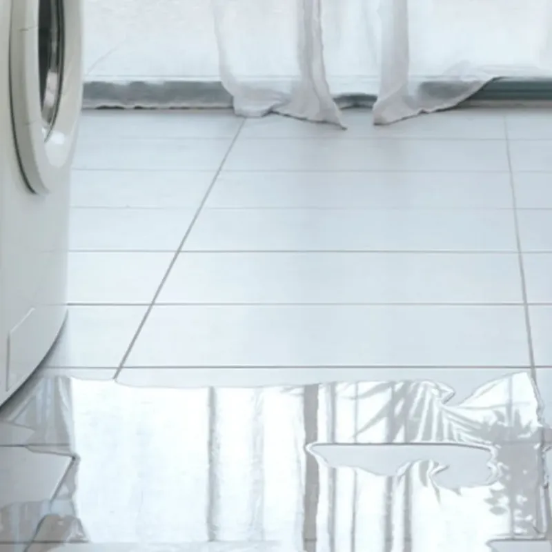 Appliance Leak Cleanup in Aragon, GA