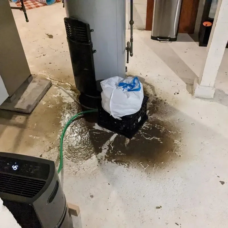 Sewage Backup Cleanup Service in Aragon, GA